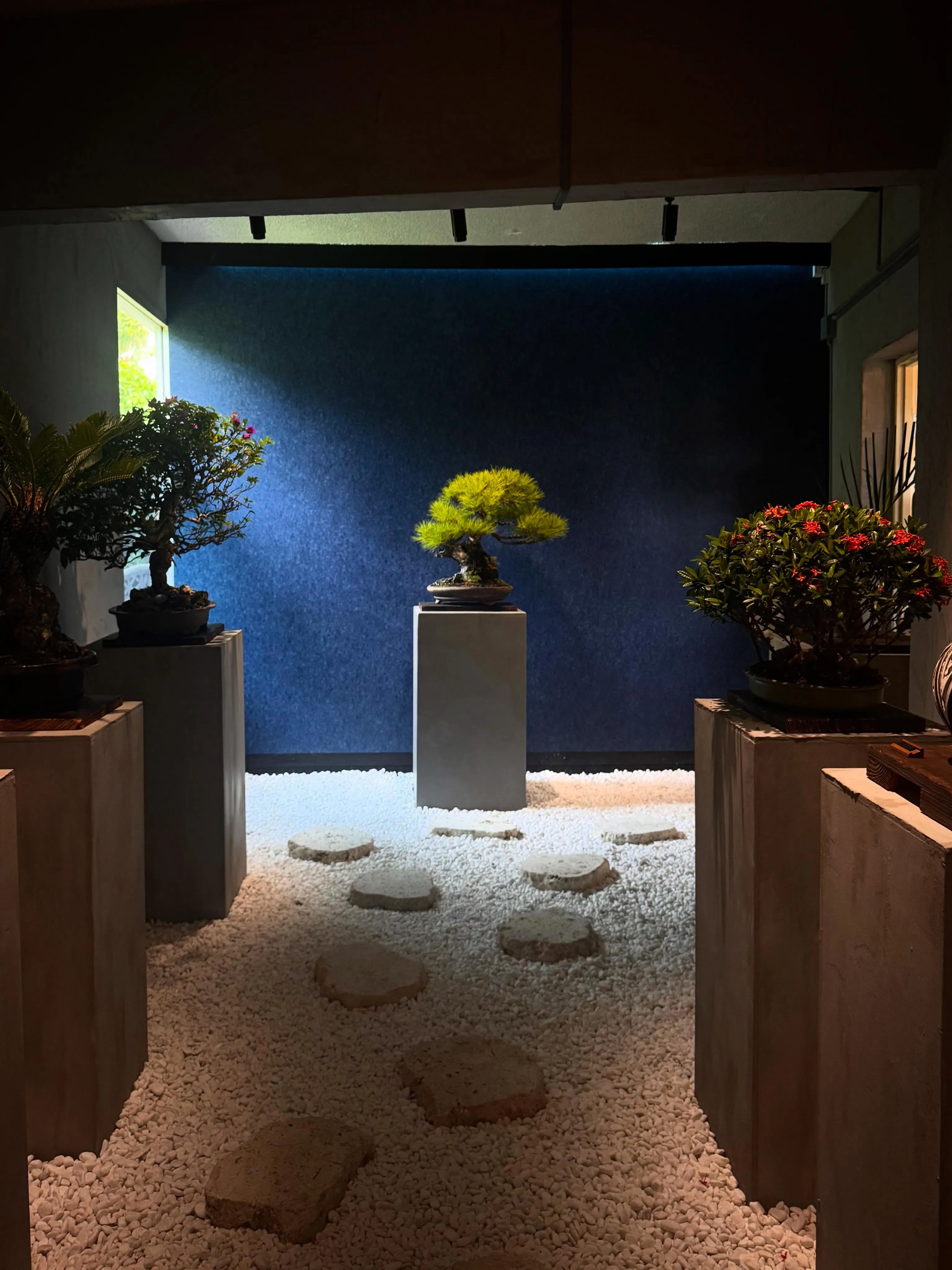 【商屋 陶賊】