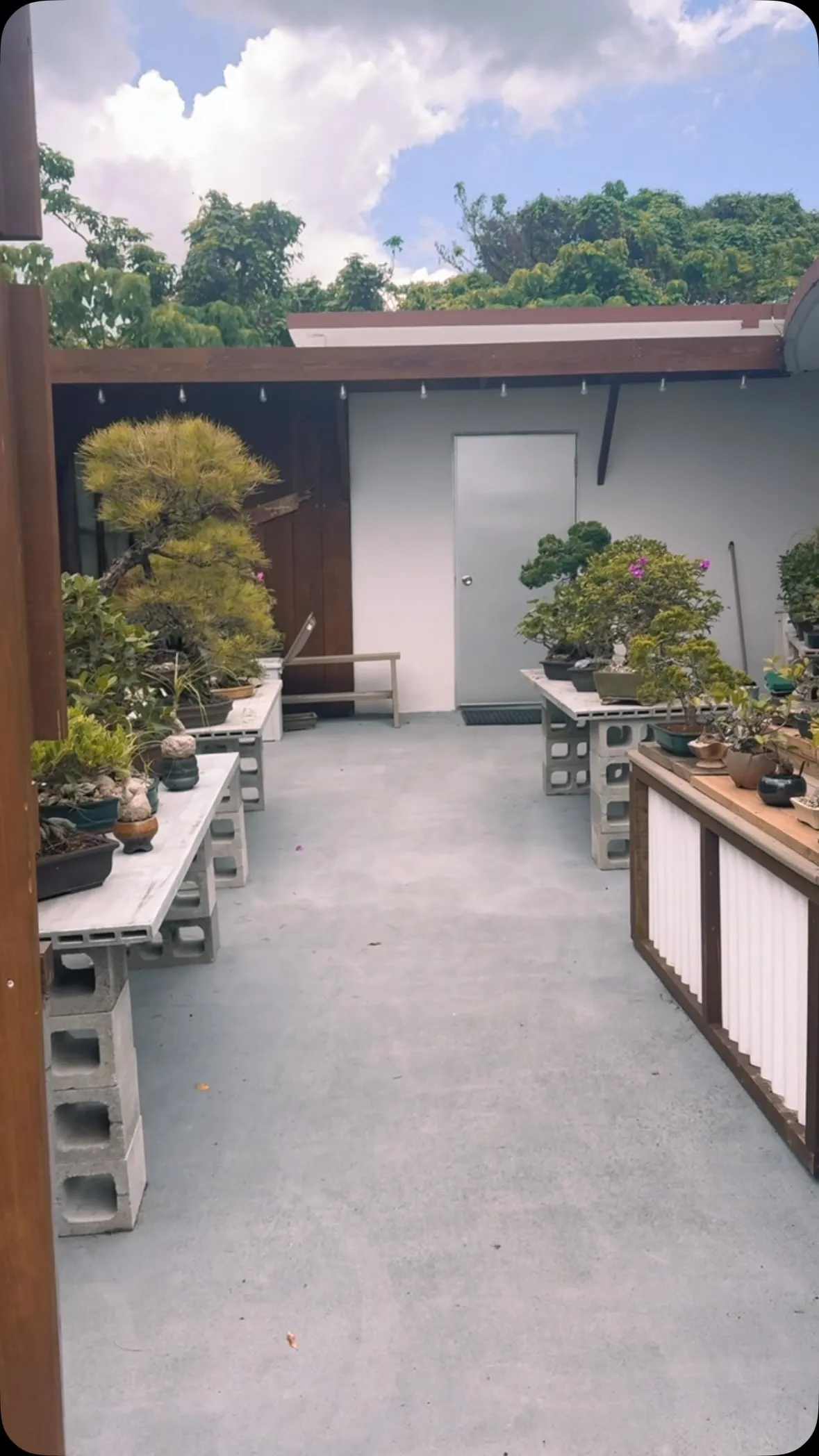 【商屋 陶賊】